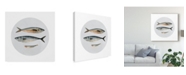 Trademark Global Emma Scarvey Three Fish I Canvas Art - 27" x 33"